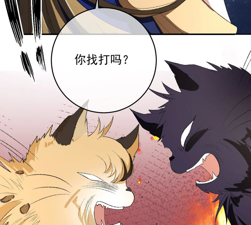 世无良猫韩漫全集-第131话 易容术无删减无遮挡章节图片 