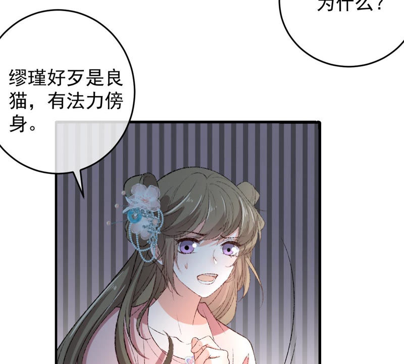 世无良猫韩漫全集-第131话 易容术无删减无遮挡章节图片 