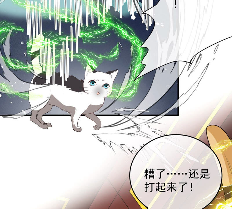 世无良猫韩漫全集-第134话 人皮面具被揭穿！无删减无遮挡章节图片 