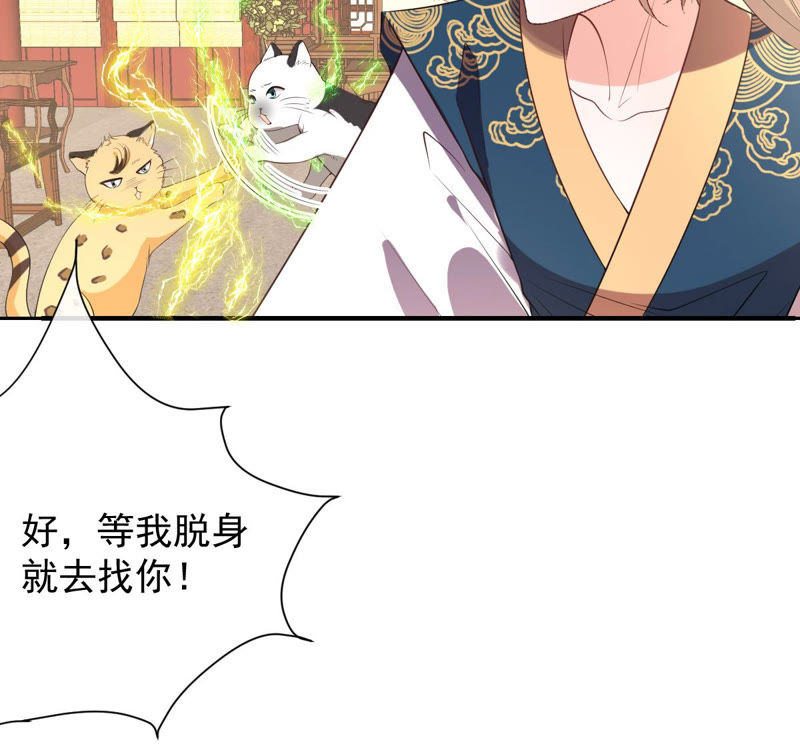 世无良猫韩漫全集-第134话 人皮面具被揭穿！无删减无遮挡章节图片 