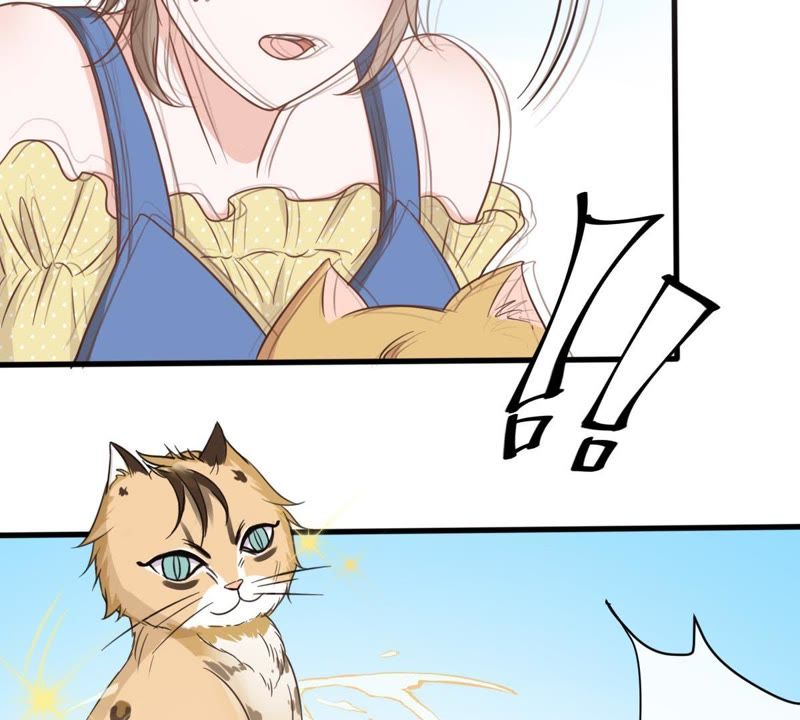 世无良猫韩漫全集-第14话 难以启齿的要求无删减无遮挡章节图片 