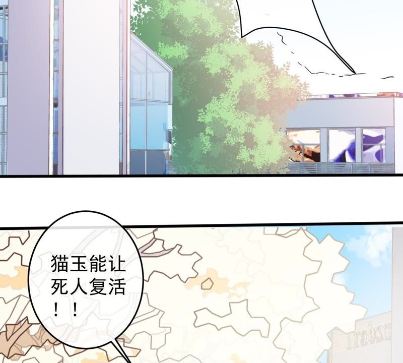世无良猫韩漫全集-第14话 难以启齿的要求无删减无遮挡章节图片 