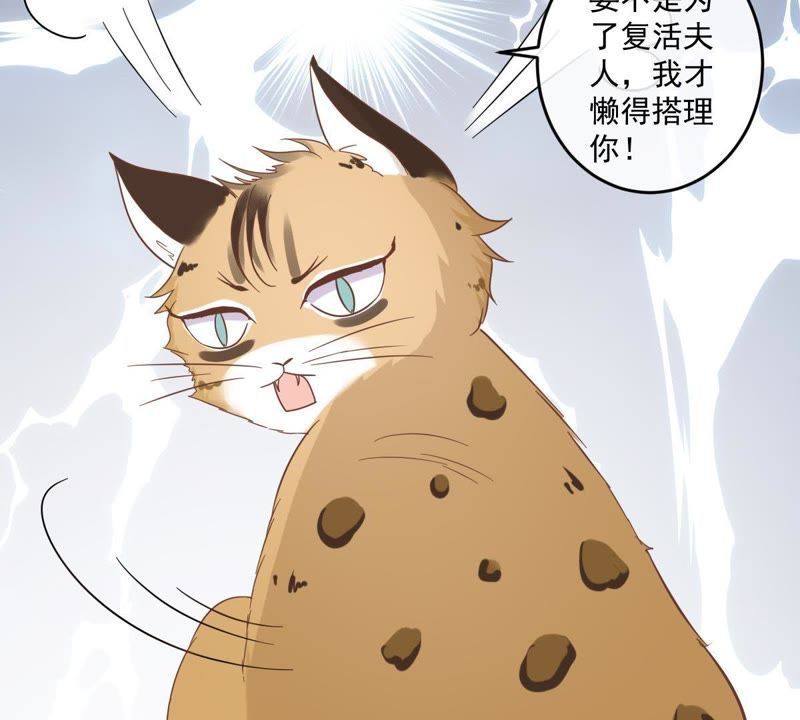 世无良猫韩漫全集-第14话 难以启齿的要求无删减无遮挡章节图片 