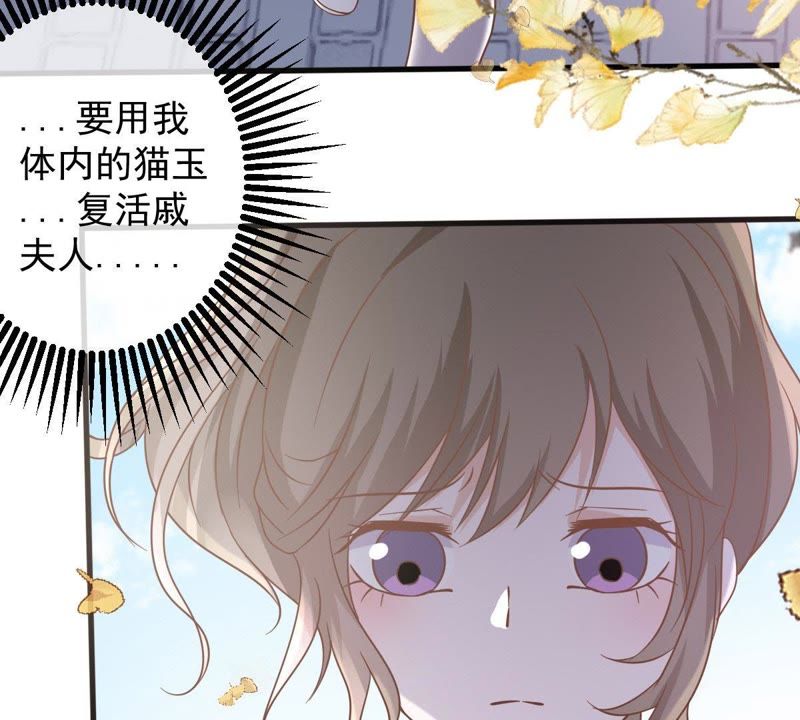 世无良猫韩漫全集-第14话 难以启齿的要求无删减无遮挡章节图片 