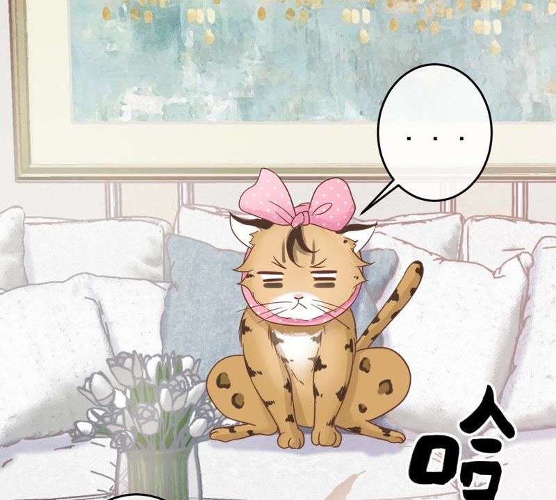 世无良猫韩漫全集-第14话 难以启齿的要求无删减无遮挡章节图片 