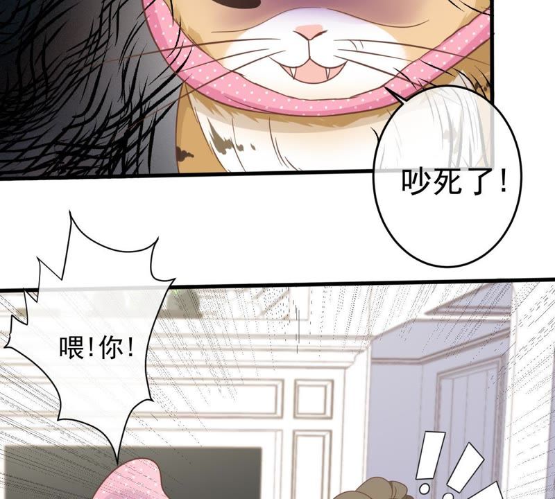 世无良猫韩漫全集-第14话 难以启齿的要求无删减无遮挡章节图片 