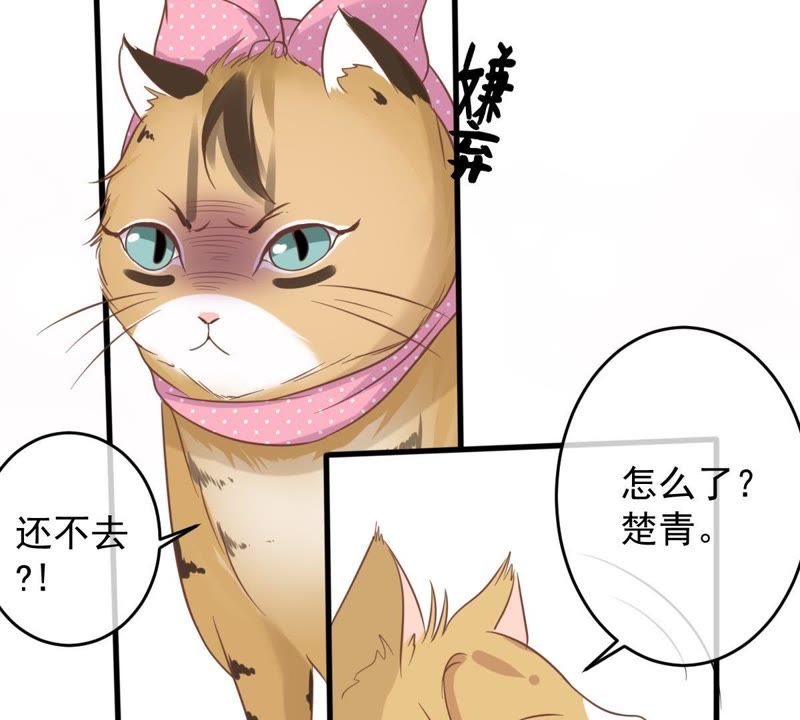 世无良猫韩漫全集-第14话 难以启齿的要求无删减无遮挡章节图片 