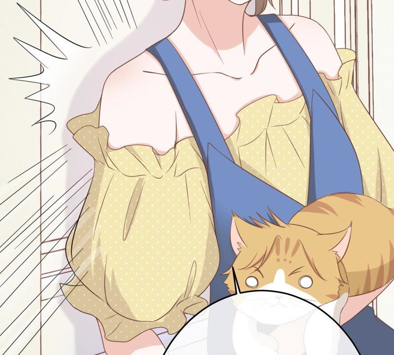世无良猫韩漫全集-第14话 难以启齿的要求无删减无遮挡章节图片 