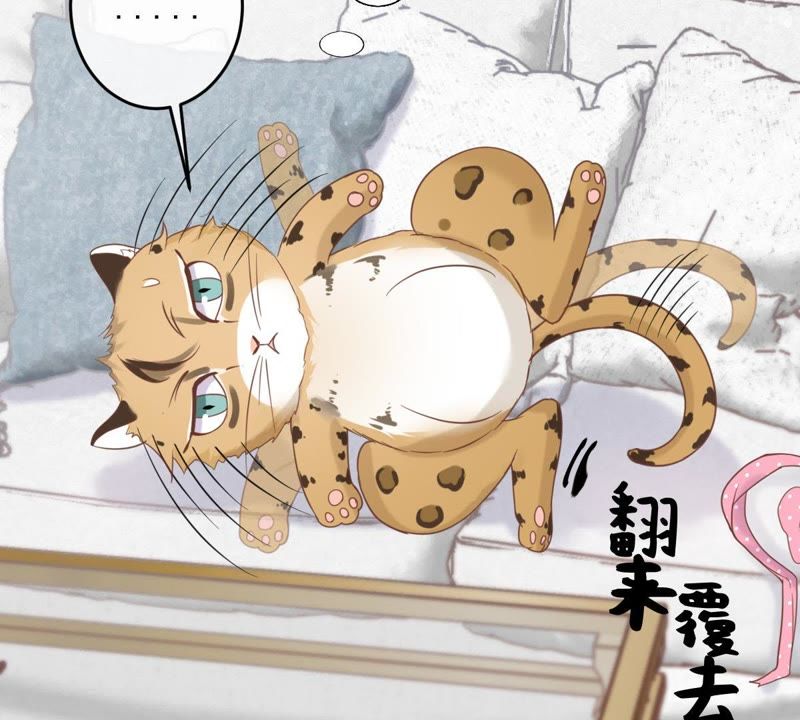 世无良猫韩漫全集-第14话 难以启齿的要求无删减无遮挡章节图片 