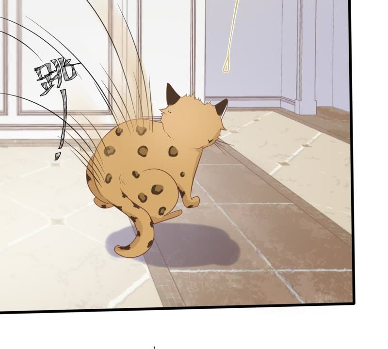 世无良猫韩漫全集-第14话 难以启齿的要求无删减无遮挡章节图片 
