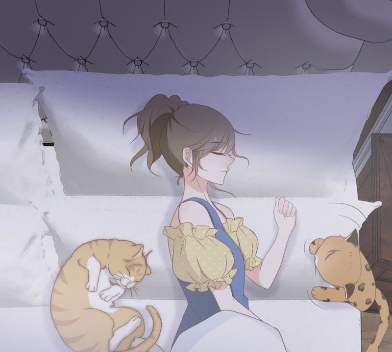 世无良猫韩漫全集-第14话 难以启齿的要求无删减无遮挡章节图片 