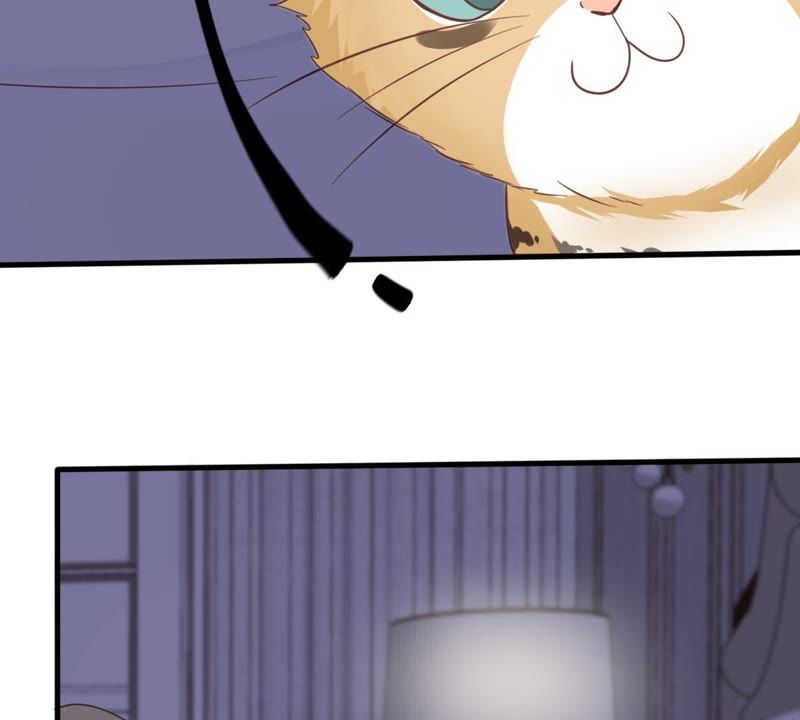 世无良猫韩漫全集-第14话 难以启齿的要求无删减无遮挡章节图片 
