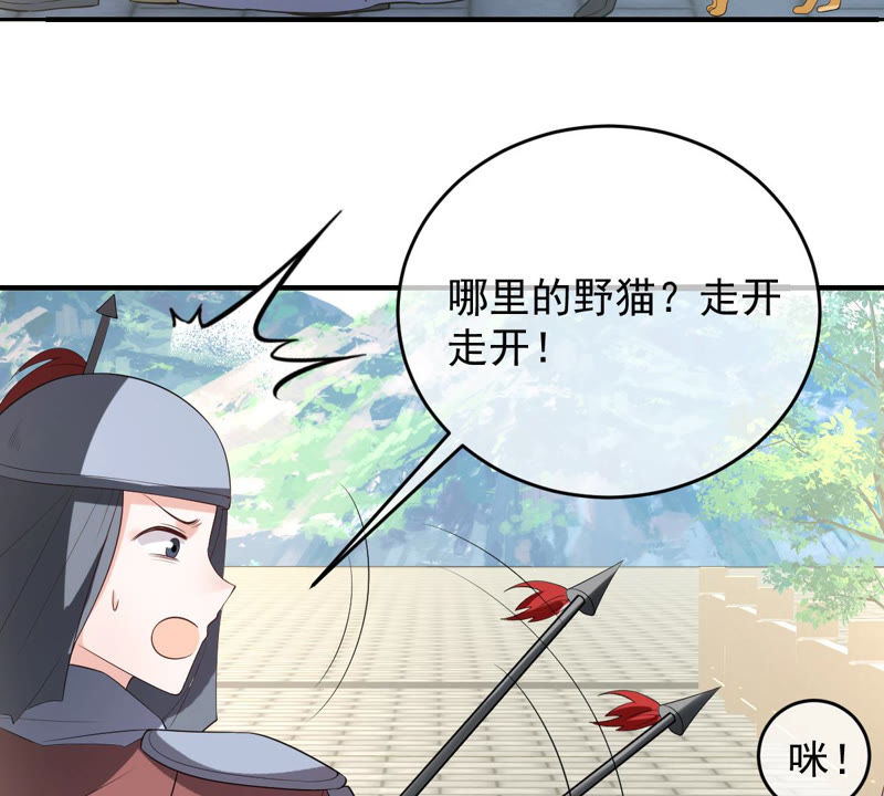 世无良猫韩漫全集-第139话 故伎重演无删减无遮挡章节图片 