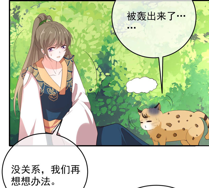 世无良猫韩漫全集-第139话 故伎重演无删减无遮挡章节图片 