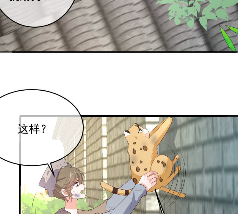 世无良猫韩漫全集-第140话 蒙混过关无删减无遮挡章节图片 