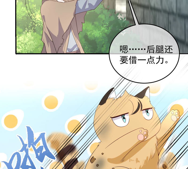 世无良猫韩漫全集-第140话 蒙混过关无删减无遮挡章节图片 