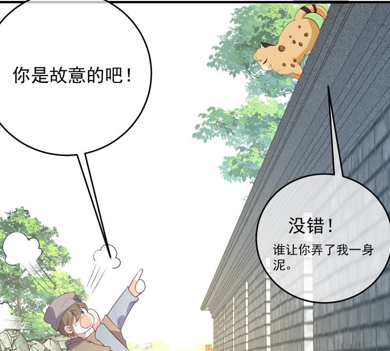 世无良猫韩漫全集-第140话 蒙混过关无删减无遮挡章节图片 