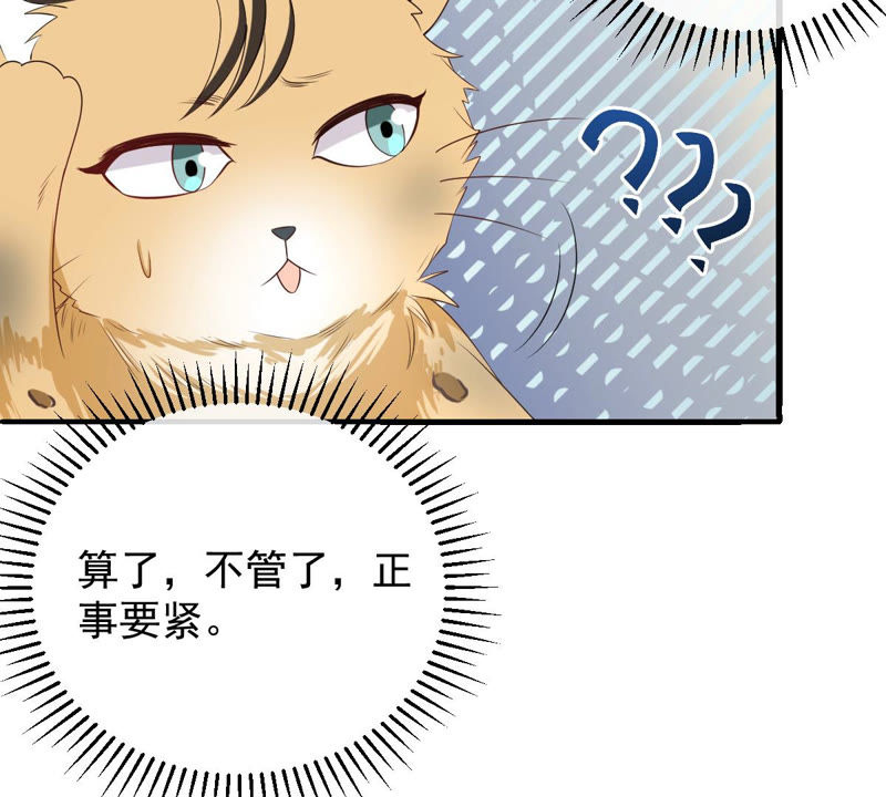 世无良猫韩漫全集-第140话 蒙混过关无删减无遮挡章节图片 