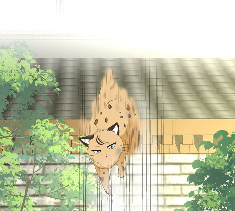 世无良猫韩漫全集-第140话 蒙混过关无删减无遮挡章节图片 