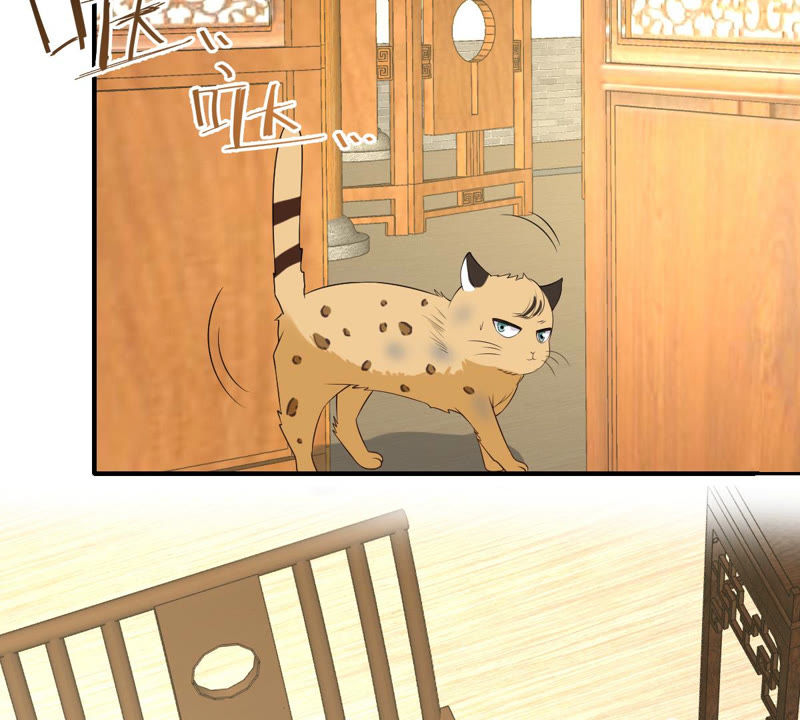 世无良猫韩漫全集-第140话 蒙混过关无删减无遮挡章节图片 