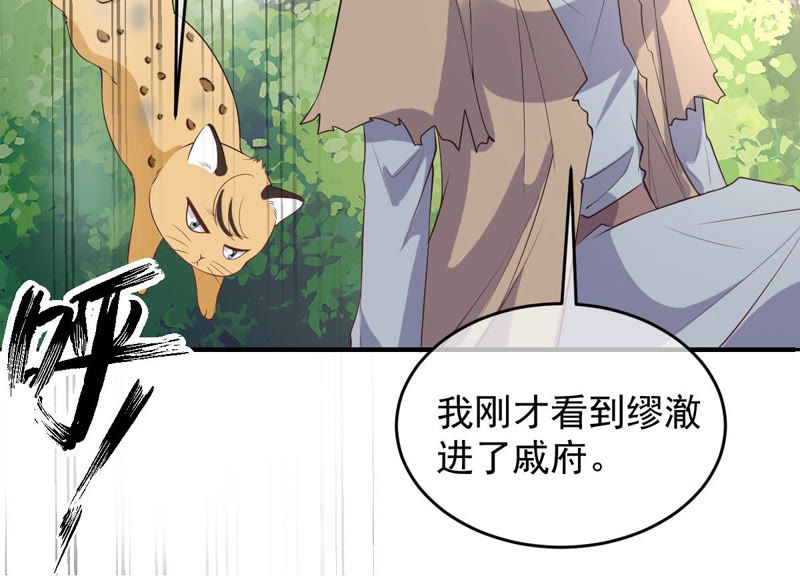 世无良猫韩漫全集-第140话 蒙混过关无删减无遮挡章节图片 