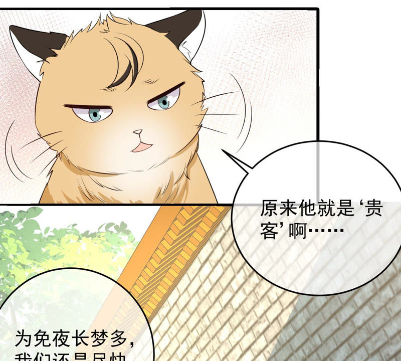 世无良猫韩漫全集-第140话 蒙混过关无删减无遮挡章节图片 