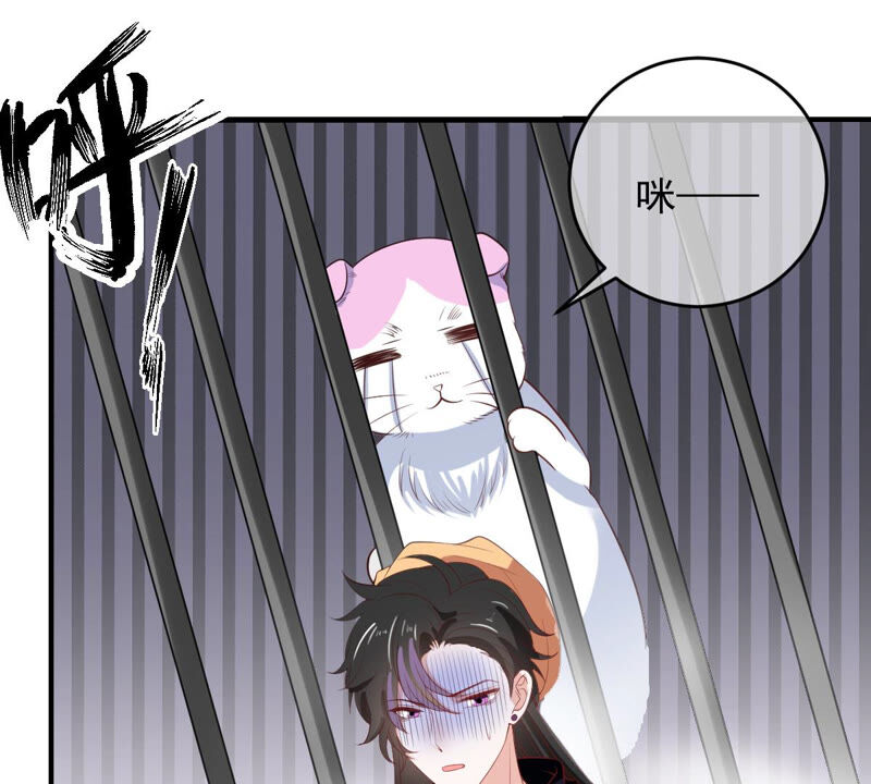 世无良猫韩漫全集-第151话 戏法师登场！无删减无遮挡章节图片 
