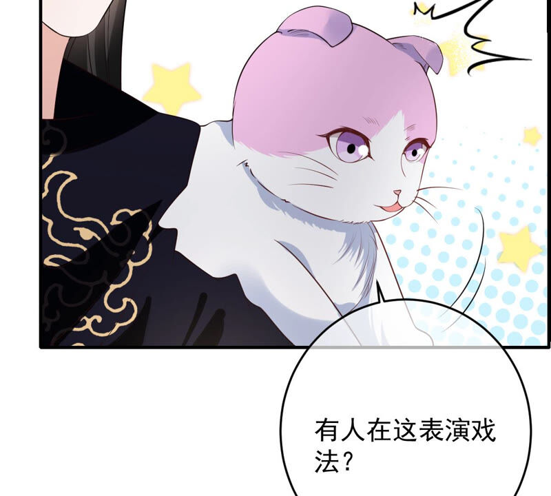 世无良猫韩漫全集-第151话 戏法师登场！无删减无遮挡章节图片 