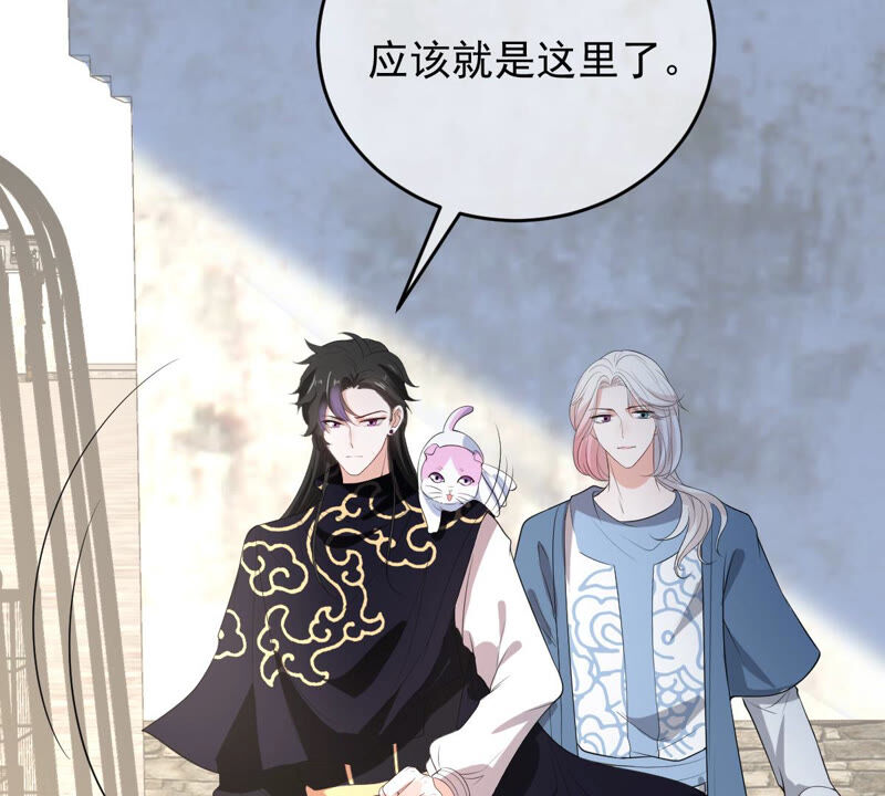 世无良猫韩漫全集-第152话 可怜又无助无删减无遮挡章节图片 