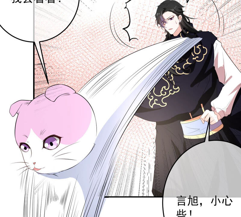 世无良猫韩漫全集-第152话 可怜又无助无删减无遮挡章节图片 