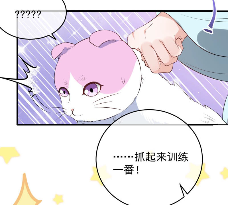 世无良猫韩漫全集-第152话 可怜又无助无删减无遮挡章节图片 