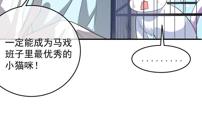 世无良猫韩漫全集-第152话 可怜又无助无删减无遮挡章节图片 