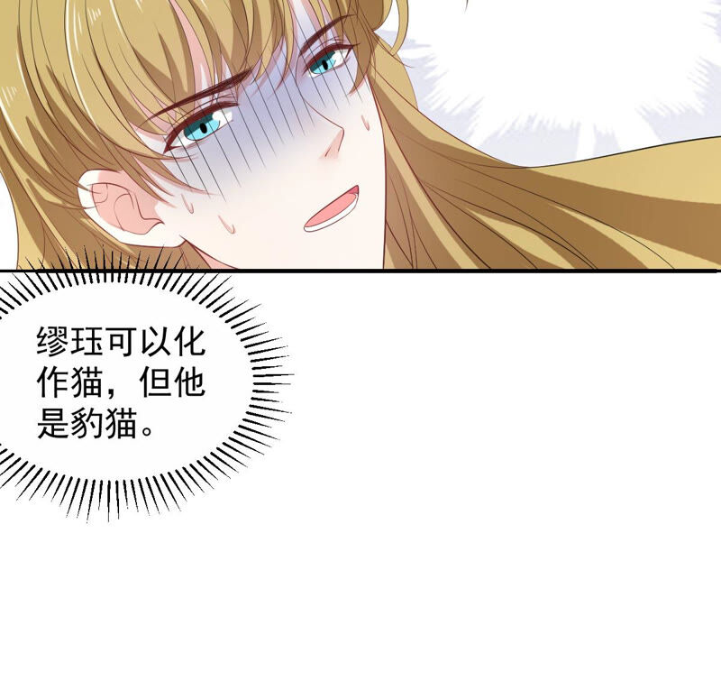 世无良猫韩漫全集-第157话 躲避搜捕无删减无遮挡章节图片 
