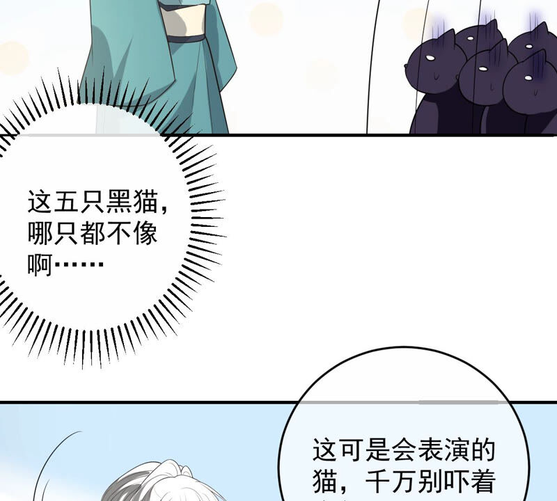 世无良猫韩漫全集-第157话 躲避搜捕无删减无遮挡章节图片 
