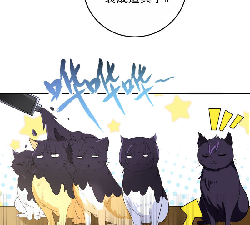 世无良猫韩漫全集-第157话 躲避搜捕无删减无遮挡章节图片 