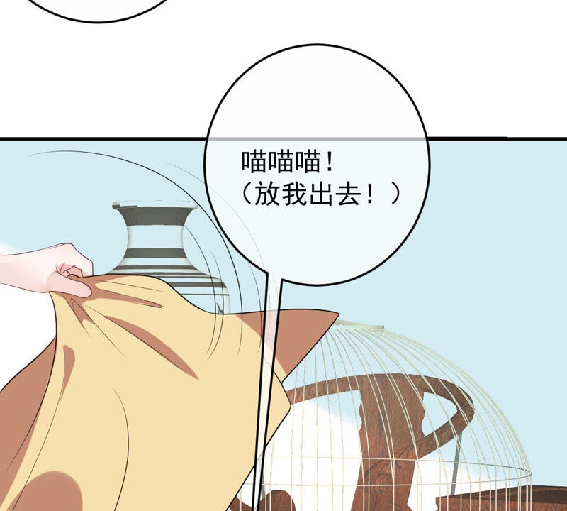 世无良猫韩漫全集-第158话 暗潮汹涌无删减无遮挡章节图片 
