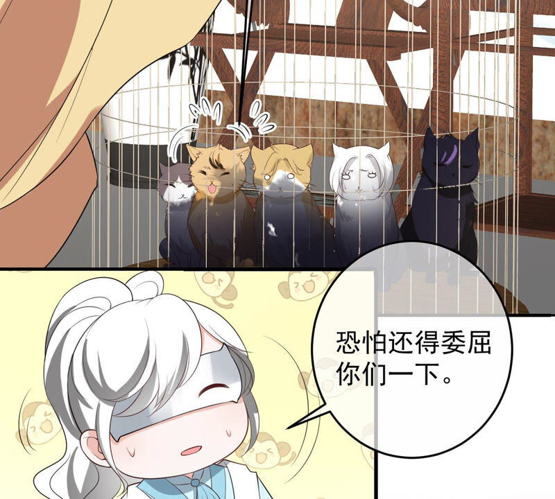 世无良猫韩漫全集-第158话 暗潮汹涌无删减无遮挡章节图片 