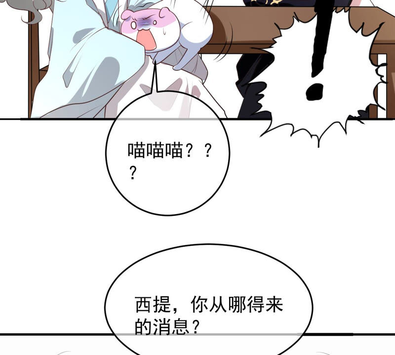 世无良猫韩漫全集-第161话 表白大行动无删减无遮挡章节图片 