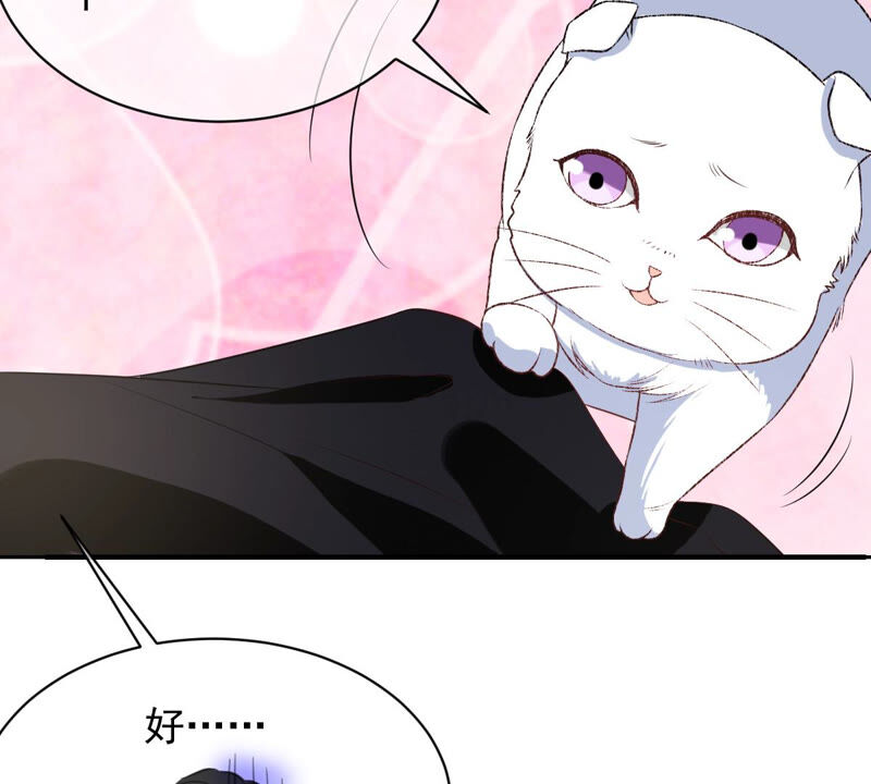 世无良猫韩漫全集-第164话 令人失望无删减无遮挡章节图片 