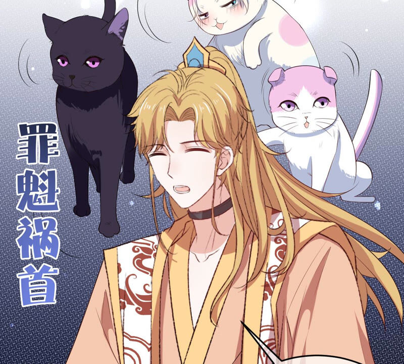 世无良猫韩漫全集-第164话 令人失望无删减无遮挡章节图片 