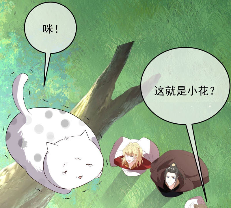 世无良猫韩漫全集-第168话 拉近关系无删减无遮挡章节图片 