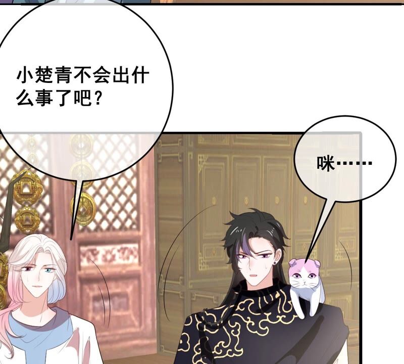 世无良猫韩漫全集-第174话 遇袭无删减无遮挡章节图片 