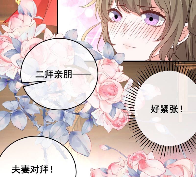世无良猫韩漫全集-第174话 遇袭无删减无遮挡章节图片 