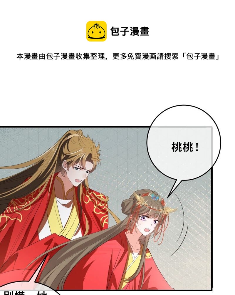 世无良猫韩漫全集-第175话 新婚贺礼无删减无遮挡章节图片 