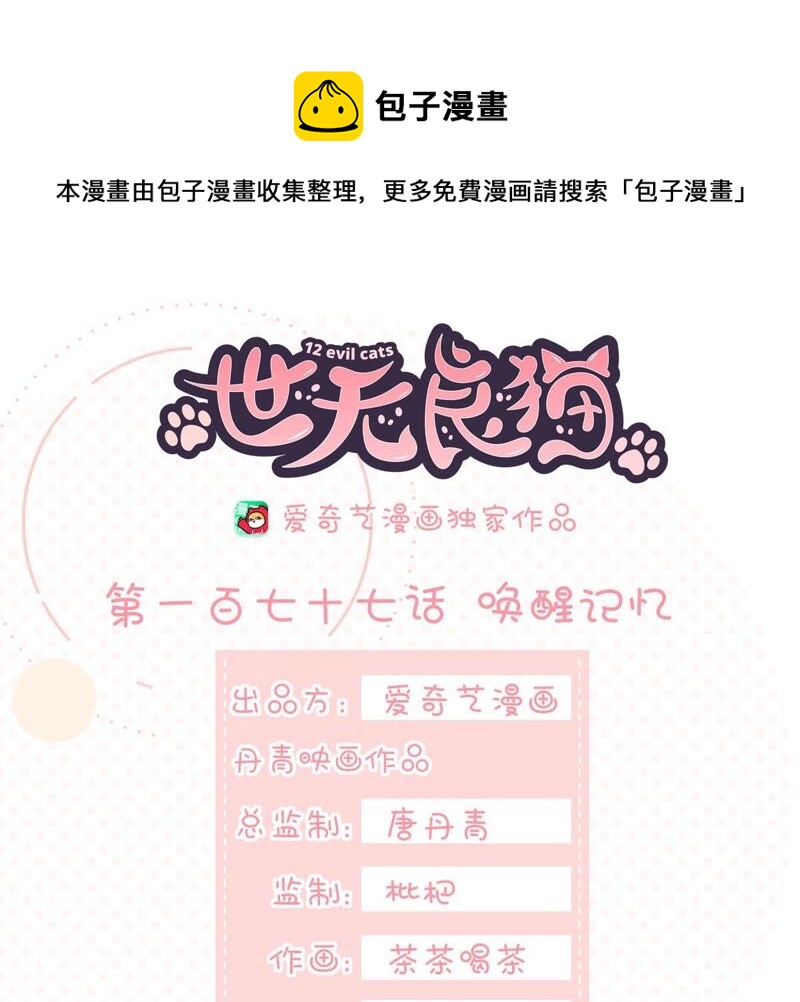 世无良猫韩漫全集-第177话 唤醒记忆无删减无遮挡章节图片 