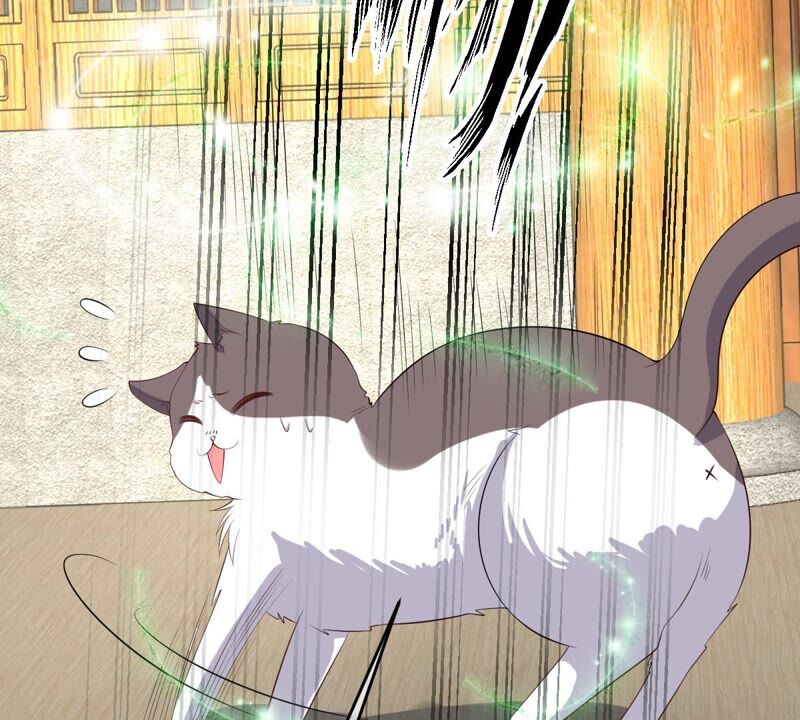 世无良猫韩漫全集-第178话 误会解开无删减无遮挡章节图片 
