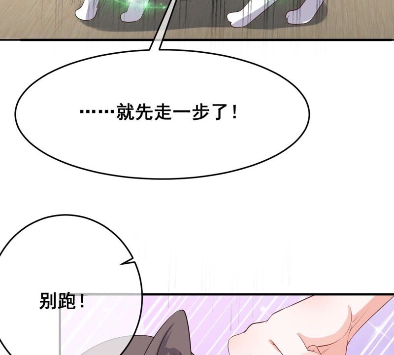 世无良猫韩漫全集-第178话 误会解开无删减无遮挡章节图片 