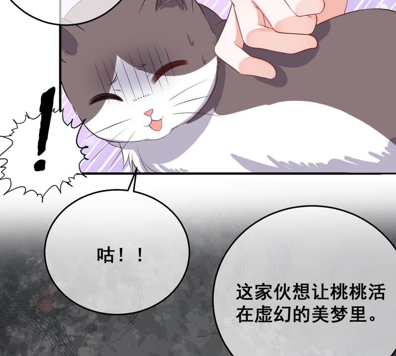 世无良猫韩漫全集-第178话 误会解开无删减无遮挡章节图片 