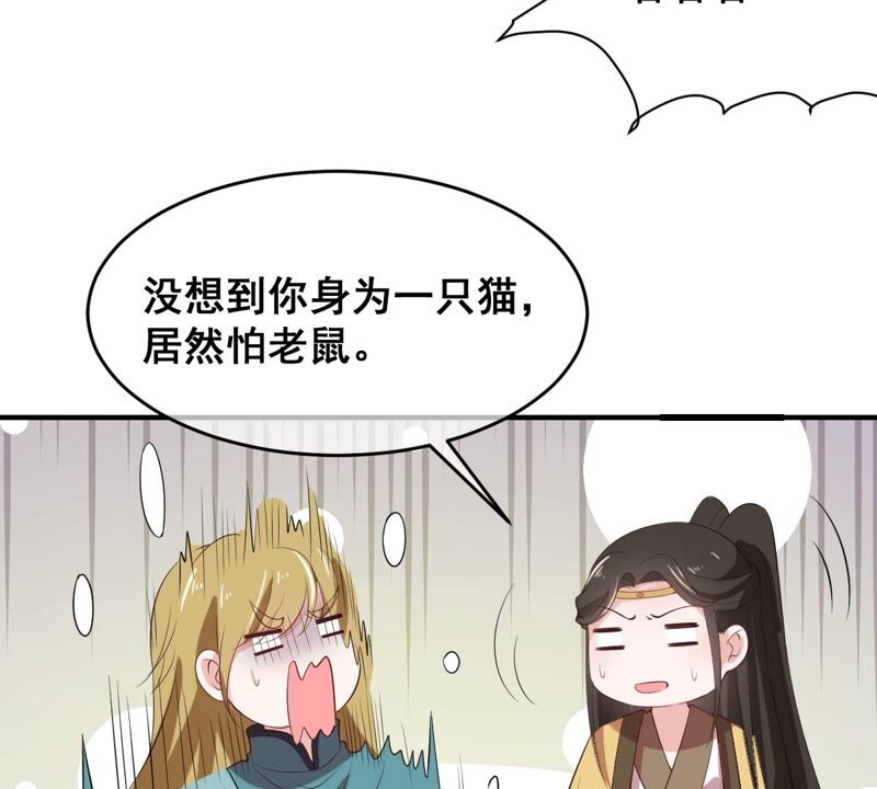 世无良猫韩漫全集-第179话 以假代真无删减无遮挡章节图片 