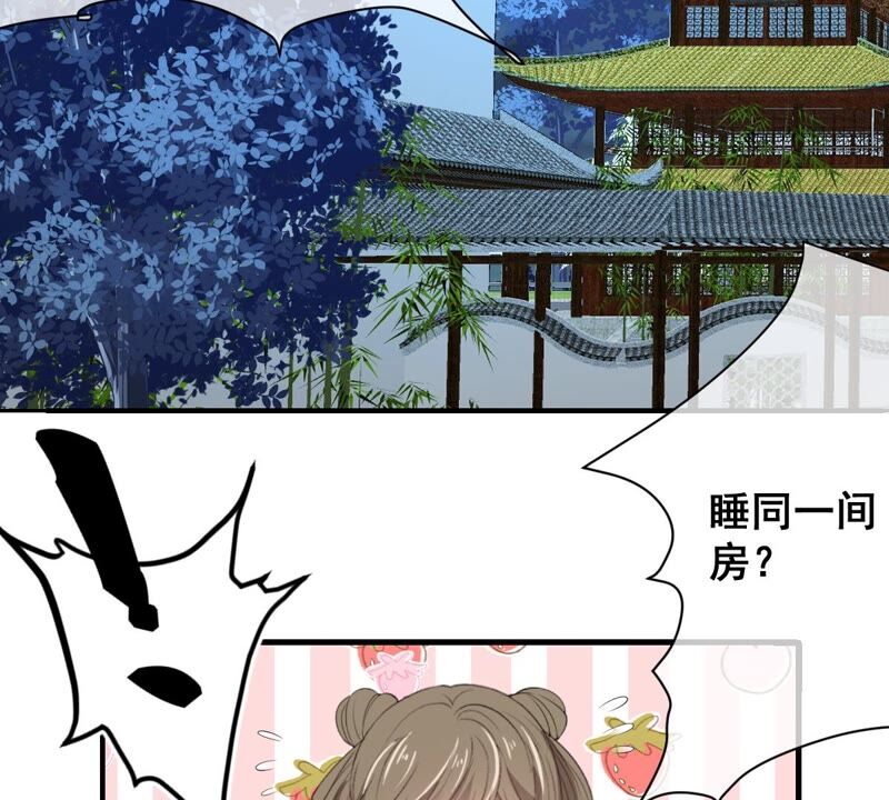 世无良猫韩漫全集-第180话 救人之策无删减无遮挡章节图片 